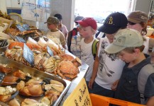 Sortie scolaire à la poissonnerie municipale du Tréport