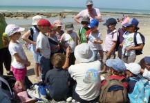 Sortie scolaire sur la plage du Tréport