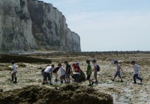 Sortie scolaire sur la plage du Tréport